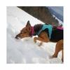 Błękitne szelki dla psa adventure dog truelove xs