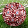 Mingea de fotbal imprimată FC Bayern München | Mărimea 5