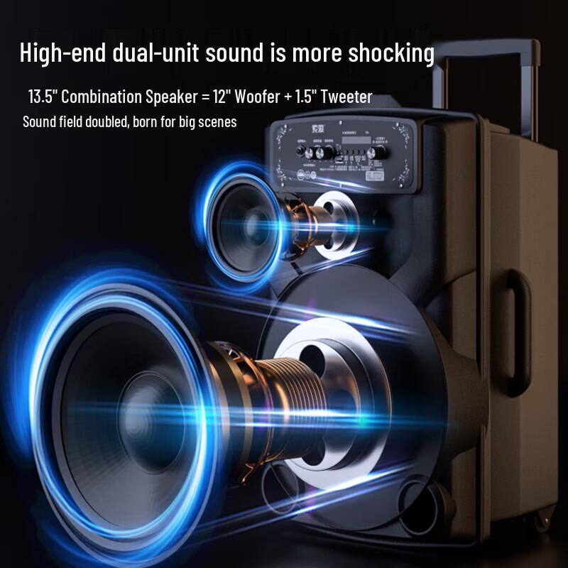 Soli T82 High-Power Portable Karaoke Speaker CN plug (adapter included) (CN version)
