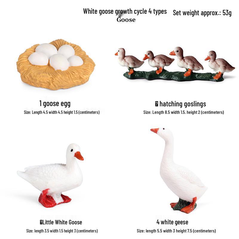 Pediatric Cognitive Simulation: Mini Salmon Growth Cycle Toy
