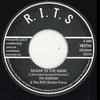 7inch Record VIN GORDON RITS RIDDIM FORCE  Skank To The Bank  Organic Horn MBX170 Room In The Sky 2022 UK Reggae Ska  Dub Used