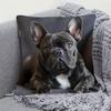 1 Stück Französische Bulldogge Niedlicher Hund Aufgedruckte Kissenhülle, Geeignet für Sofa, Schlafzimmer, Wohnzimmer, Ein Heilendes Geschenk Für Hundeliebhaber.
