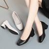 Single Shoes Women's Autumn New Versatile One-pedal Soft Sole Light Mouth Thick Heel Low Heel Work Shoes Black Small Leather Shoes