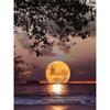 DIY 5D Diamond Painting The Magic Moon Diamond Mosaic Cross Stitch Kits Home Decoration Full Round Diamond Embroidery