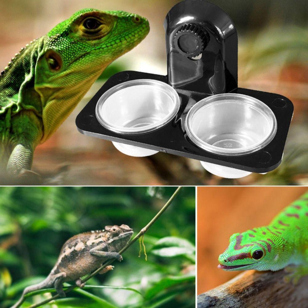Plastic Insect Feeding Dish BPA Free Spider Mealworm Bowl Portable Gecko Feeding Ledge For Reptile