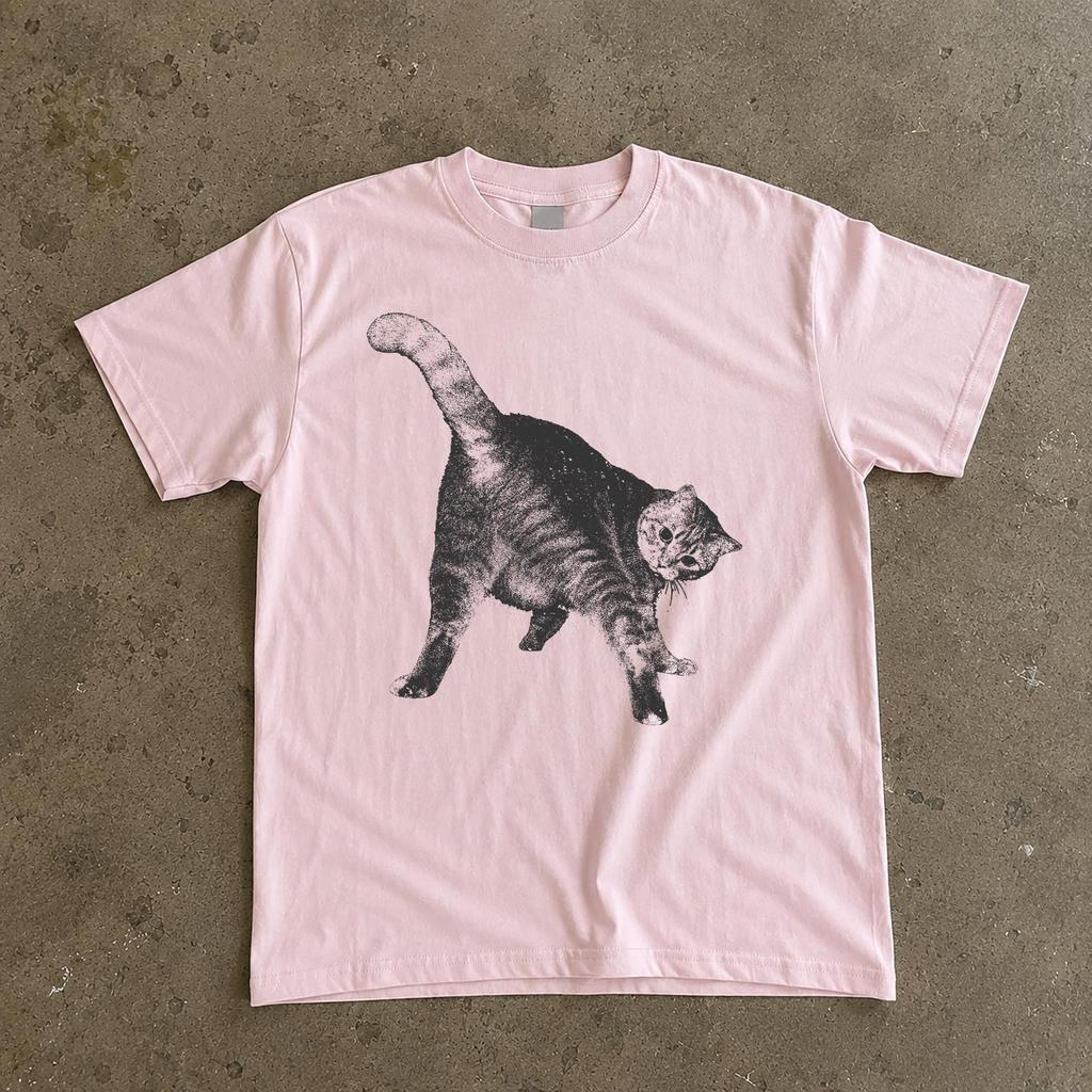 Funny Cat Playground Vintage Shirt, Retro Tabby Cat Graphic Tee