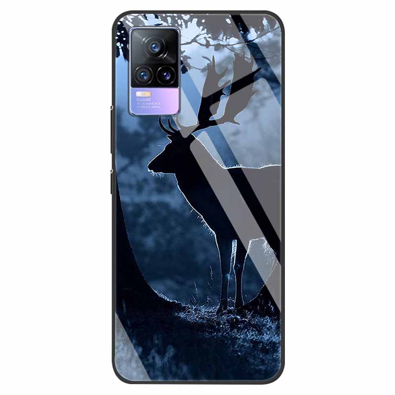 For VivoV21 5G Tempered Glass Case for Vivo V21 5G Soft Bumper Hard Funda For Vivo X60 Pro Global Phone Case X60 5G 2021 Cover