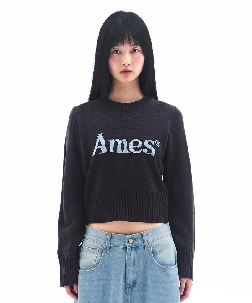 AMES-WORLDWIDE Basic Pullover Knit Charcoal