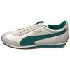 Pantofi sport Whirlwind Classic Glacier Gri Verde pentru bărbați Storm-White 351293-71