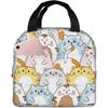 Pink Summer Fruits Watermelon Pineapple Cat Insulated Lunch Bag for Girls Reusable Lunch Tote Portable Lunch Box Cooler Bag