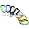 4D Aluminiumlegierung D-förmiger Karabiner Schlüsselanhänger & Lanyard für Wandern, Camping, Wasserflaschen und Rucksäcke