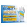 Dunlop XXIO GGG-X020R Men's Right Hand Golf Glove Black 21cm