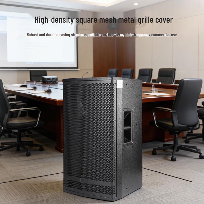 Weishu YD10 10-inch Professional Passive Speaker (CN Version)