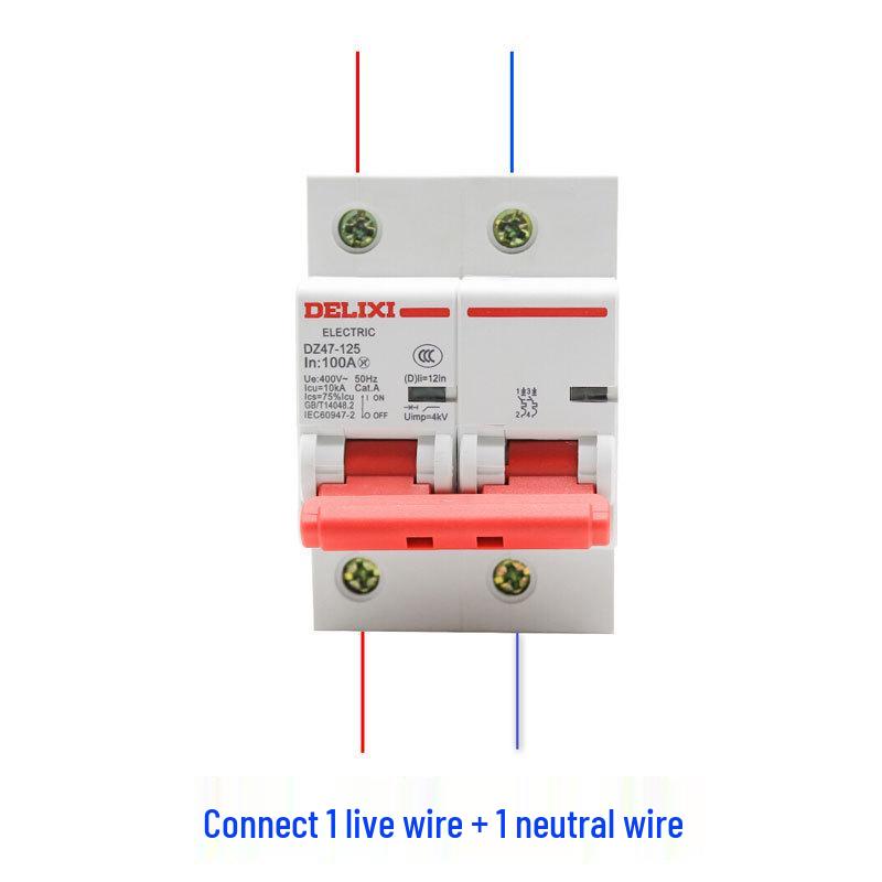Delixi DZ47-125 2P 220V High-Power Air Circuit Breaker for Household Main Switch.