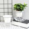 Self Watering Plant Pot Flower Pot with Transparent Reservoir Clear Self Watering Planter for Indoor Plants Flowers African Violets