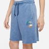 Nike Casual Shorts Men's Blue Moderate DV3315-410