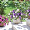 Artificial Morning Glory UV Resistant Faux Flowers Realistic Faux Silk Flower for Outdoor Indoor Decoration Window Box Hanging Basket
