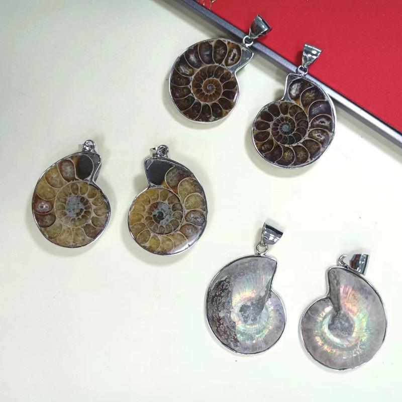 Muschel-Anhänger mit polierten Muschelperlen für stilvollen Schmuck