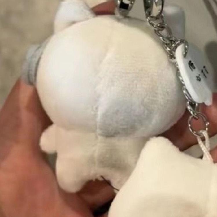 2Pieces Unique Handmade Plush Bag Pendant Keychain Charm Cats Shape Bag Ornament Suitable for Office and School Decors