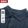 Hengyuanxiang Men's Polo Short Sleeve Knit Sweater