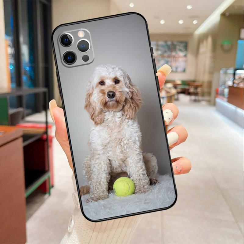 Süße Cockapoo Hund Handyhülle Für iPhone 16 15 14 11 12 13 17 Pro Max mini 15 Plus 16e 17 Air Schutzhülle