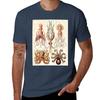 Ernst Haeckel Gamochonia Vintage Wissenschaft Illustration T-Shirt Weich Lässig Kurzarm Baumwolle T-Shirt