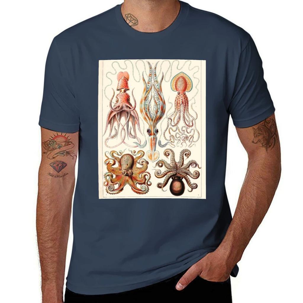 Ernst Haeckel Gamochonia Vintage Wissenschaft Illustration T-Shirt Weich Lässig Kurzarm Baumwolle T-Shirt