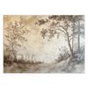 Wallpaper Nature Forest Trees