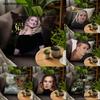 Sängerin A-Adele Kissenbezug für Sofa-Dekor Auto Büro Zimmer Druck Kissenbezug Dekorationen und Schutz