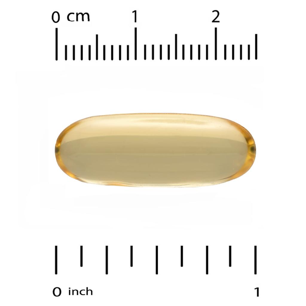 Omega 3, Premium Fish Oil, Fish Gelatin Softgels 240 Tablets