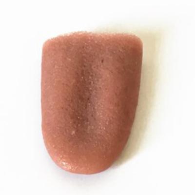 Yousheng Funny Realistic Fake Tongue Gross Jokes Prank Magic Tricks Prop Horrific Toys