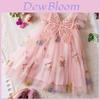 Korean Style Girl Dress With Embroidered Flowers And Tulle For Toddler Girls
