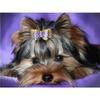 Diamond Mosaic 5D Diamond Painting Dog Animal Diamond Embroidery Sale Full Round Rhinestone