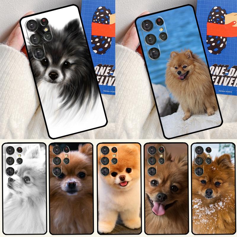 Pomeranian Hund Handyhülle Für Samsung Galaxy S24 Ultra S25 Ultra S9 S10 S20 S21 S22 Plus S23 S24 FE Hülle