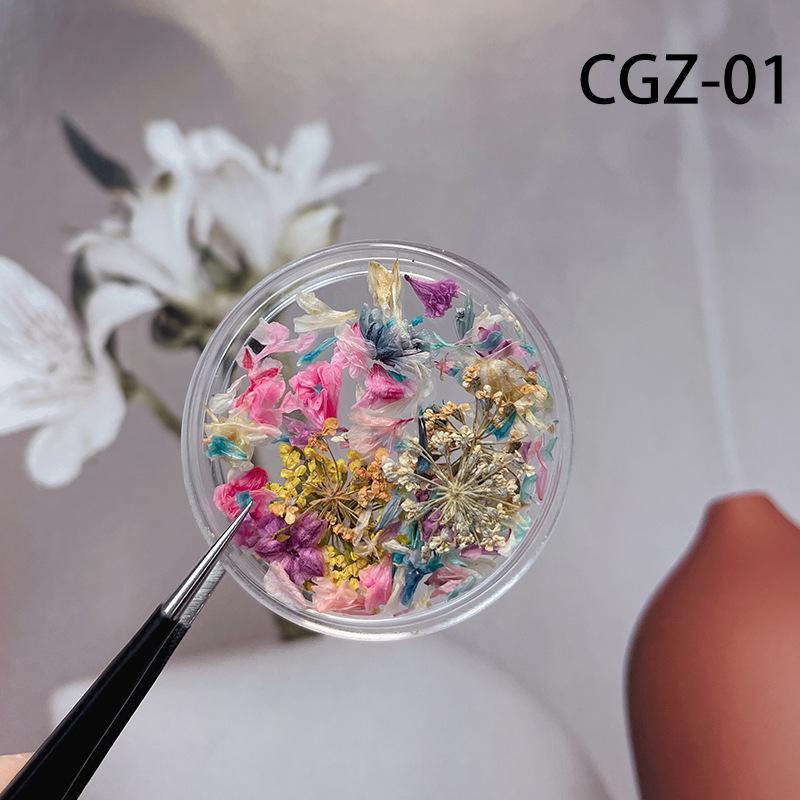 Nail Art Dried Flower Nail Jewelry Flower Floral DIY Mixed Material Diy Nail Art Decor