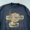 חולצת טריקו ארוכה מודפסת דהויה של Harley-Davidson, דמות פינאפ, מידה L, סיפור: Seaford Delaware Biker