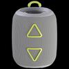 Newmine BT87 Portable Bluetooth Speaker CN Plug (adapter Included) (CN Version)