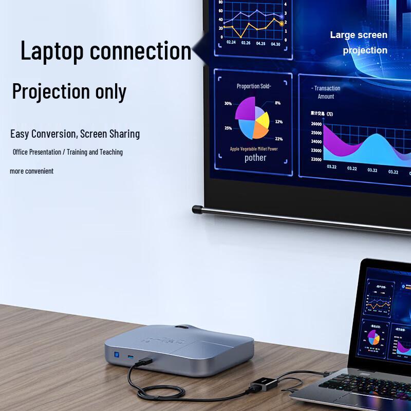 Shengwei VGA to HDMI Converter with Audio & Power