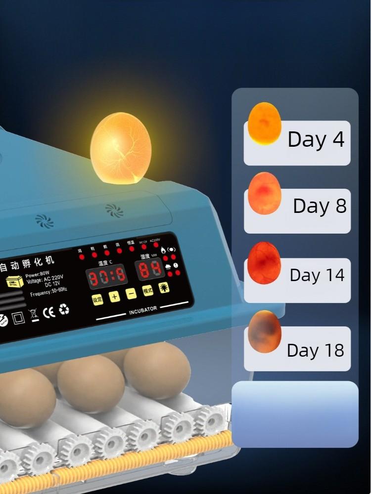 Automatic Multiple Egg Incubator Intelligent Chicken Duck Goose Quail Incubator Poultry Hatching Equipment Chicken Hatching Box