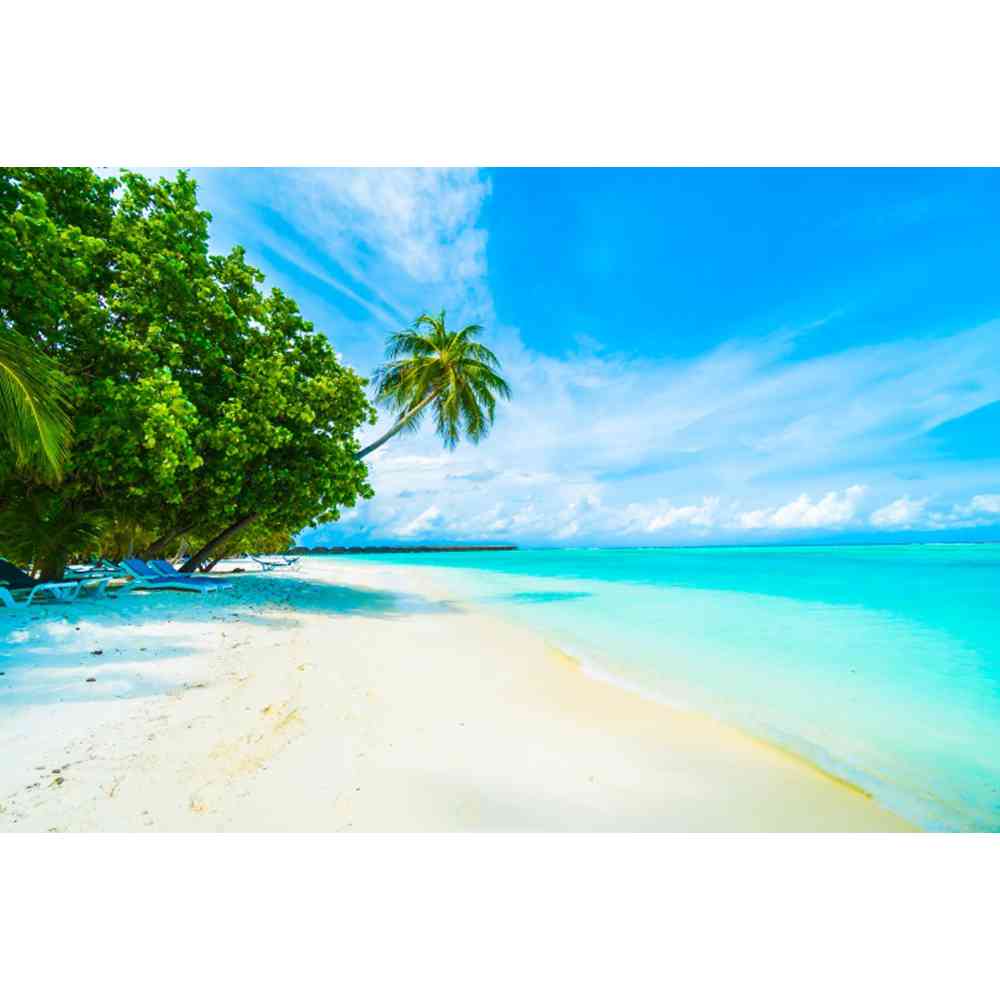 Summer Beach Waves Palm Trees Blue Sky Sunrise Ocean Theme Backdrop, Birthday Party, Home Decoration Photography Backdrop Cloth