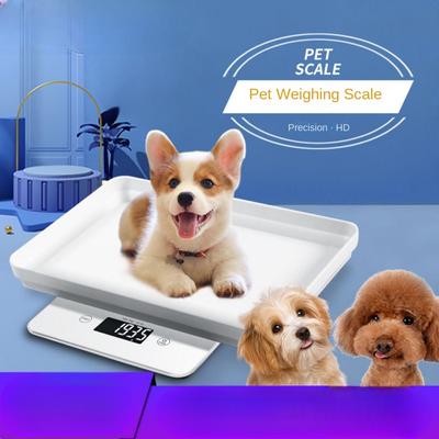 Kitchen, Dining & Bar – Household Scales