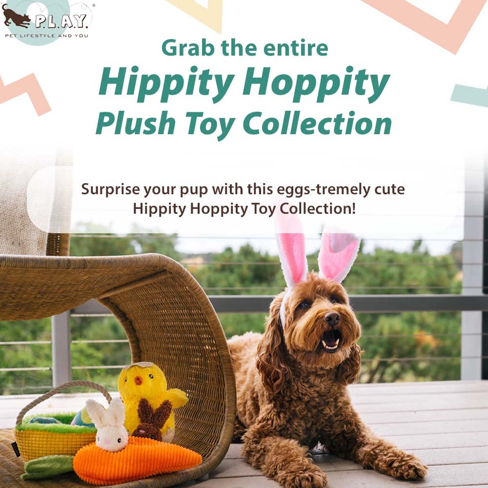 ROOKCRAN Dog Toy Hippity Hoppity Hatching Chick Chewing Stuffed Toy Puppy Outside Durable Small Dogs Large Dogs Stylish Cute 500708 P.L.A.Y.