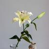 Two Lily Simulation Flower Set Living Room Dining Table Decoration False Flower Art Wedding Travel Photography Props