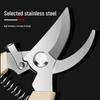 Durable Professional Pruning Shears for Branches, Flowers, and Fruits