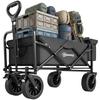 Folding Cart with Removable Thermal Bag Adjustable Handle Length and Angle and Carry Bag Black