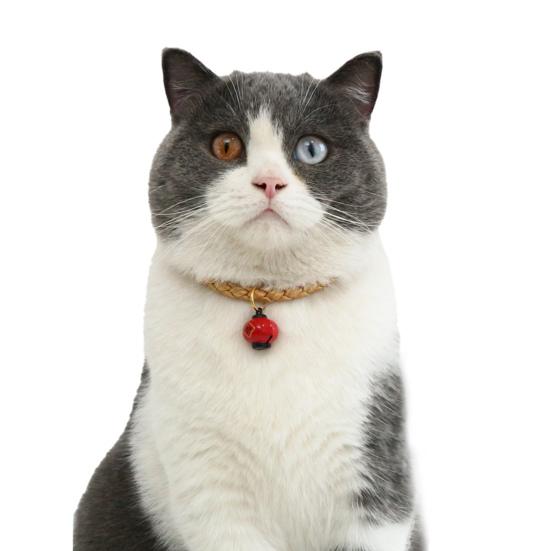Pet Collar Festive Stylish Pet Supplies Lucky Bag Lantern Pet Collar for Dog