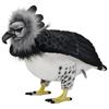 BH7710 HANSA Harpy Eagle 50