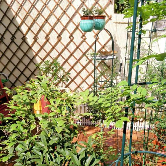 Traliccio in legno Decorazione da parete espandibile Piante rampicanti Aria Supporto Reticolo Rack verticale Cornice sospesa Recinzione da giardino
