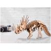 Les Trésors De Lily [Q9214] - 3D Cardboard Figurine 'Triceratops'- 30x30 Cm Sheets