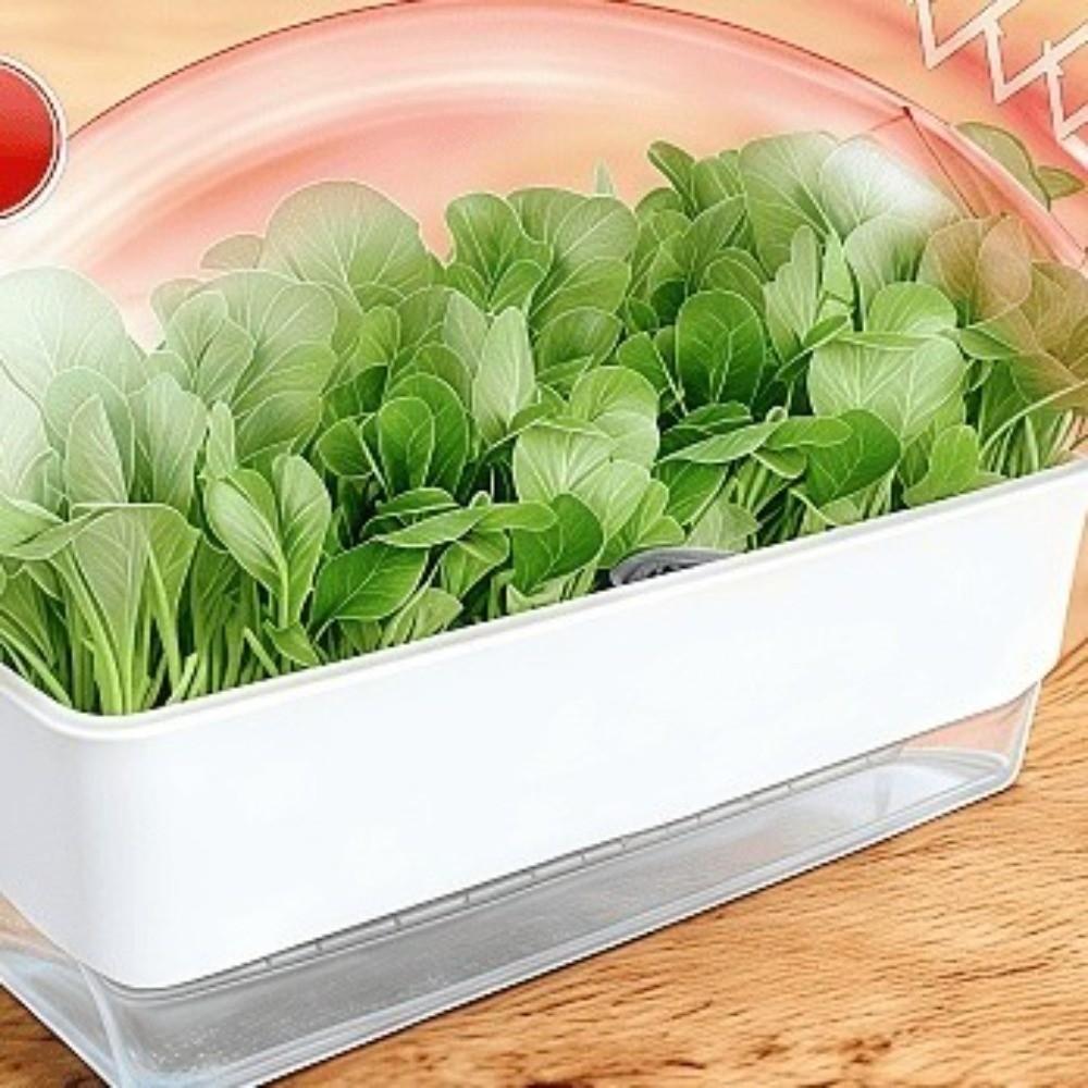 Plastic Hydroponic Plant Pots Thicken Cultivation Box Seedling Tray Self Watering Planting Container Plant Nursery Pot